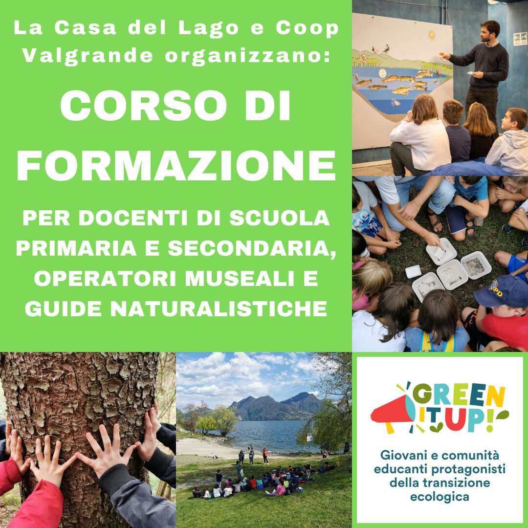 Corso di formazione: didattica della natura